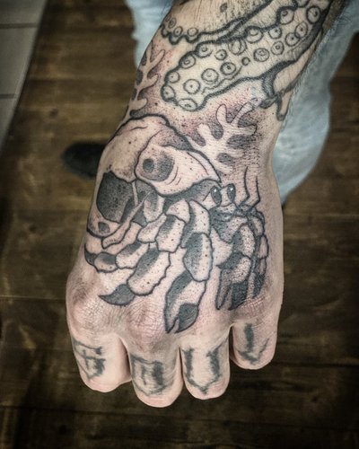 Einsiedlerkrebs mit Wellensittich-Wohnwagen