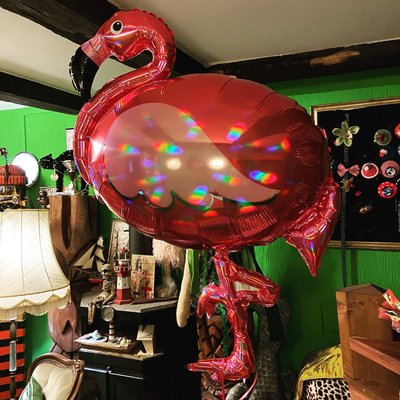 Ich dreh durch😂😂😂da hab ich echt nicht schlecht geguckt.