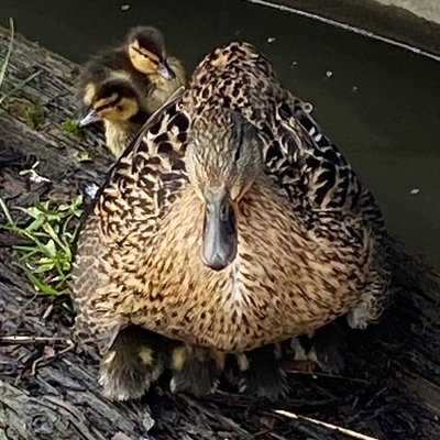 Einfach nur liebe♥️♥️♥️♥️♥️♥️♥️♥️♥️♥️♥️♥️