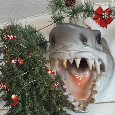 Meine zuckerschnuten.