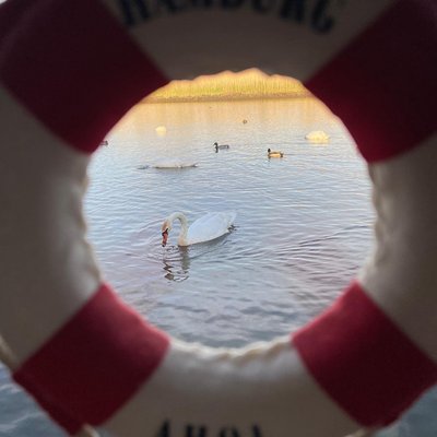 Moin♥️⚓️♥️meine zuckerschnuten,ich hab die woche Urlaub und bin dabei mit meinen lieben Kollegen .