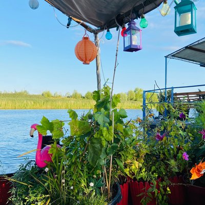 Moin meine zuckerschnuten,arschheiss wirds heute.