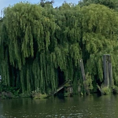 Tattoo Artwork Hamburg