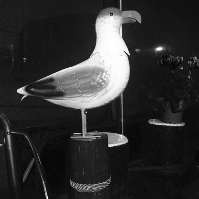 Mylife in black and white 7 days 7 pictures day 2