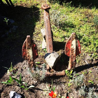 bei meinen Freunden im Garten ❤❤❤