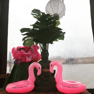 So,mir reichts,das wetter is zum kotzen und ich hab schon Frühling im herzen🌸🌴🌸🌴🌸