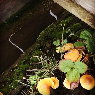 Tattoo Artwork Hamburg