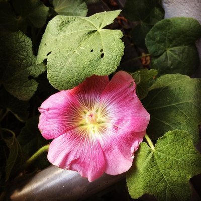 Tattoo Artwork Hamburg