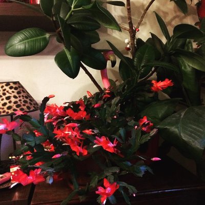 Huch da is er ja n bisschen früh dran!