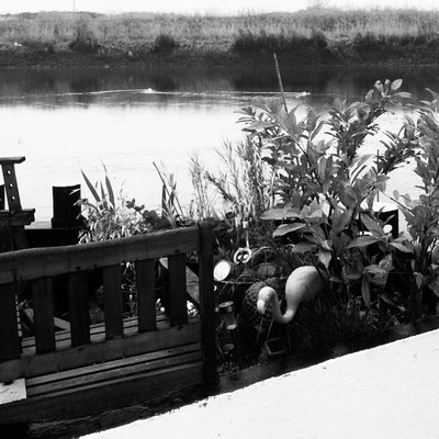 7 day 7 pictures day 3