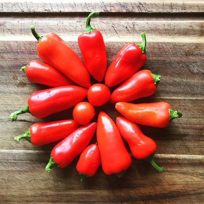 Jippieh aus unserem bootsgarten♥️⚓️♥️