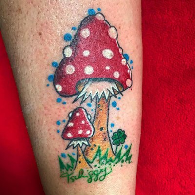 danke an 🍄🍄🍄