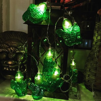 🌵 Ich liiiebe Lichterketten und kaktusse und.