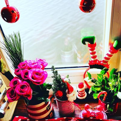 ..... moin meine zuckerschnuten...so bevor es heute abend wieder traurig 😞 wird.... wie findet ihr meine kleinste deco der Welt 🌹🌸🌹🦩🎄🦩🌺🥀🌸💚🎀??? Es...